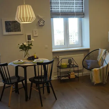 Unique Valdemara Street Studio * ריגה